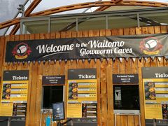 -怀托摩萤火虫洞