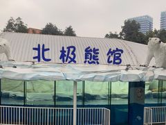 -海合安成都极地海洋公园