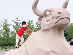 -永定河休闲森林公园