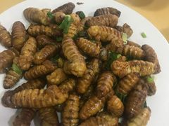 -华龙特色大骨鸡农家菜馆