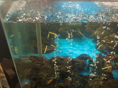 -蟹之国·精品蟹料理(极地店)