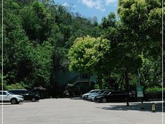 -野象谷景区