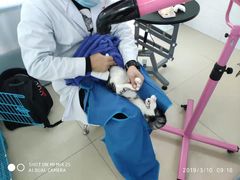 -圣宠动物医院·犬猫专科·影像中心·外科中心