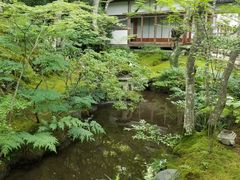 -常寂光寺