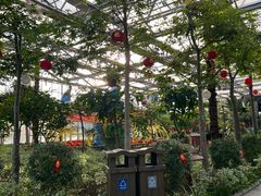 -南宫五洲植物乐园