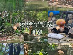 -广州长隆野生动物世界