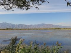 -野鸭湖国家湿地公园