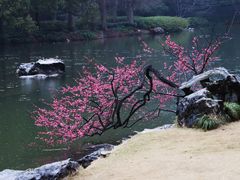 -杭州植物园