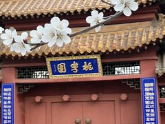 -桃花堤公园