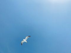 -海驴岛(荣成市)