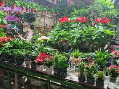 -朝来春花卉市场