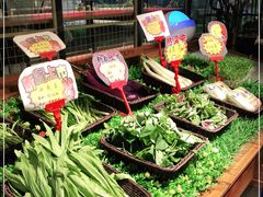 -宝燕海货工场(长江国际店)
