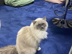 -零纪元VR体验馆·桌游(黄浦店)