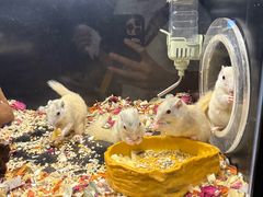 -太平洋海底世界