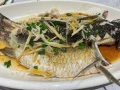 -丰尔粥食·粥底火锅·桑拿鸡(大良总店)