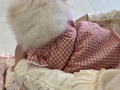 -怪兽屋·羊驼·猫咖·狗咖(俊华广场店)