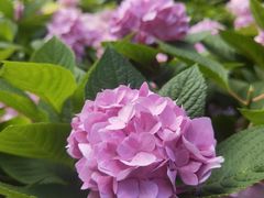 -常州古运河南大街文化旅游区-人民公园