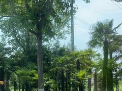 -太阳岛度假酒店