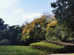-菊花台公园