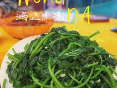 -鸿达渔港