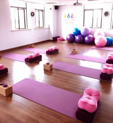 -爱尔乐美孕产瑜伽·普拉提