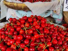 -红星农博物流中心