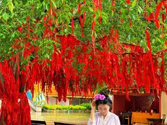 -西双版纳勐泐文化旅游区