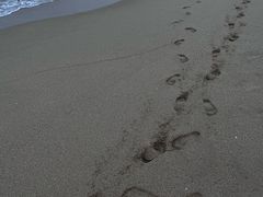 -西涌国际滨海旅游区