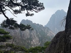 -黄山风景区