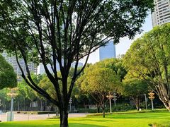 -重庆市江北嘴中央商务区中央公园