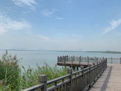 -天津东丽湖风景区