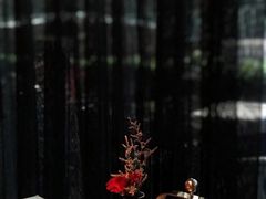-映水芙蓉(上海万象城店)