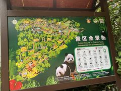 -海南热带野生动植物园