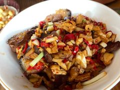 -印象鲵宴·张家界地标美食名片(溪布街店)