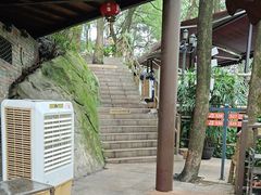 -巴倒烫陆派火锅山庄(南山总店)