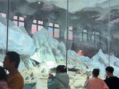 -帝企鹅自助餐厅•儿童岛•真企鹅(长隆企鹅酒店)