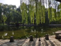 -玲珑塔公园