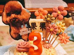 -北京赛佳动物医院