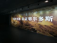 -鄂尔多斯青铜器博物馆