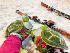 -绍兴启迪乔波冰雪世界