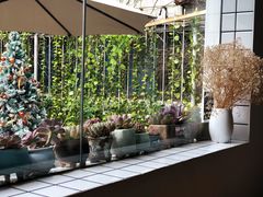 -旧屋咖啡(海景店)