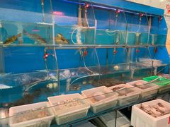 -红灯笼龙凤饭店(宁波老字号店)