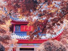 -岳麓山风景名胜区