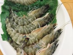 竹节虾-良兴火锅
