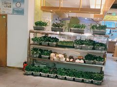 -鲜货俚鲜火锅(青果路店)