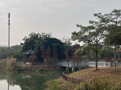 -王借岗森林公园