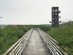 -春花秋色城市公园