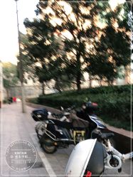 -金太子形象设计