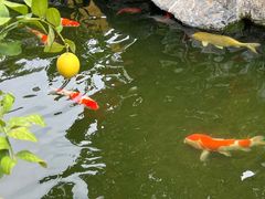 -顺德渔村·岭南一号