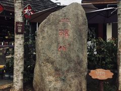 -亚龙湾热带天堂森林公园